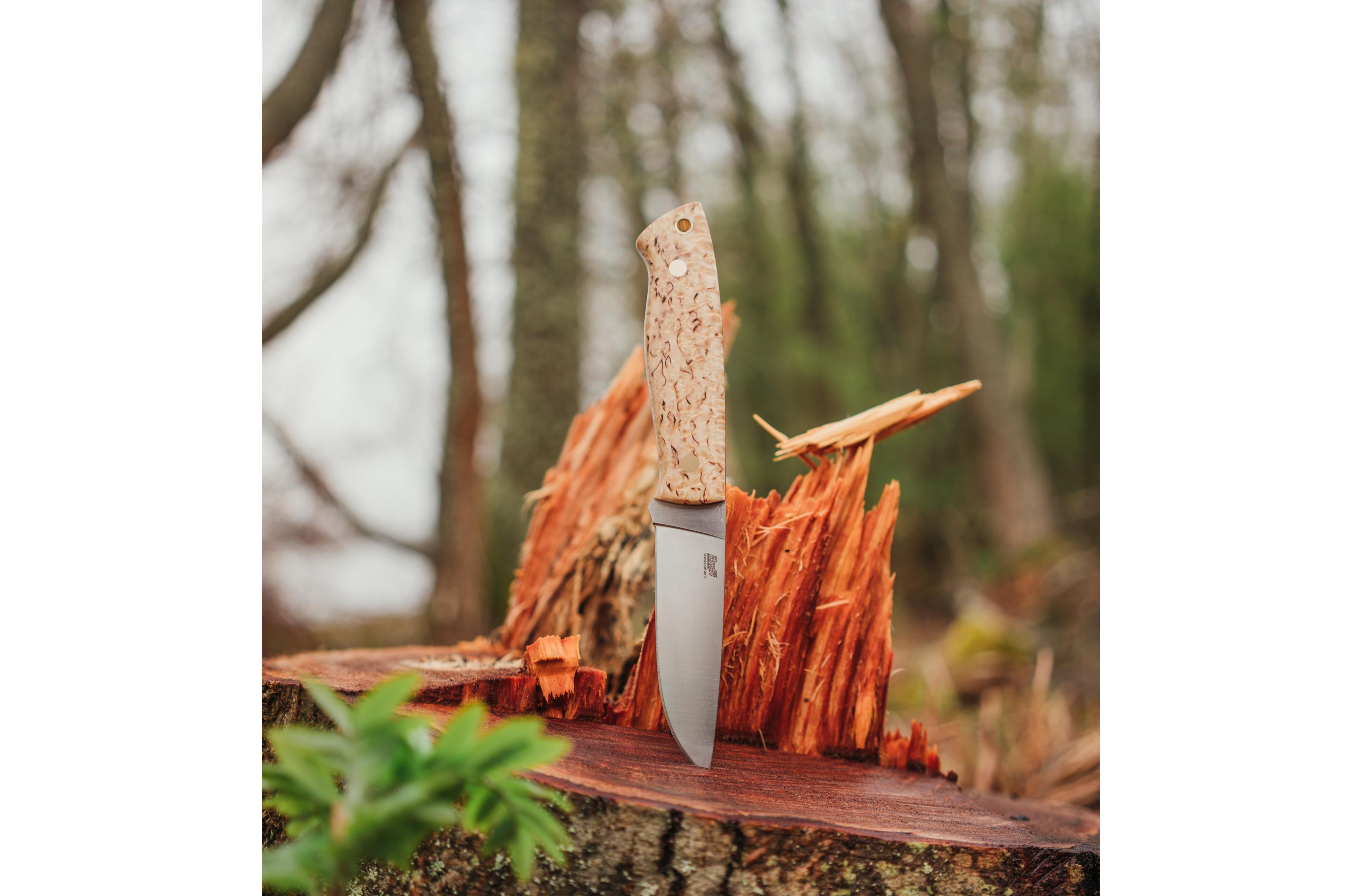 Trapper 95 - CurlyBirch - Flat - Leather