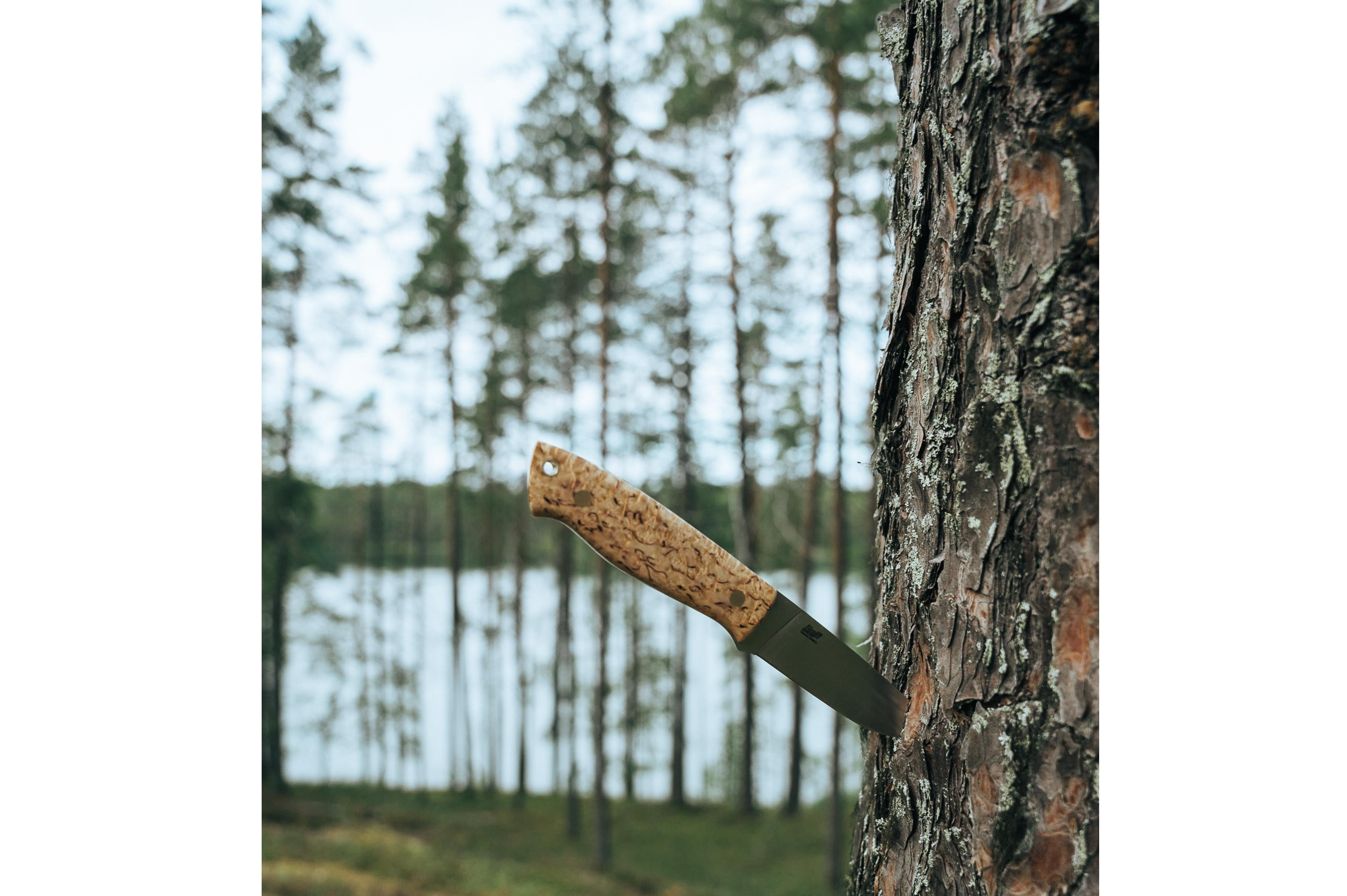 Trapper 95 - CurlyBirch - Flat - Bushcraft