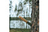 Trapper 95 - CurlyBirch - Flat - Bushcraft