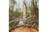 Trapper 95 - CurlyBirch - Flat - Firesteel