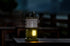 Quad Lamp