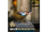 (ID21376)