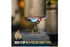 (ID21389)