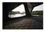 Bush Cruiser Pro 140