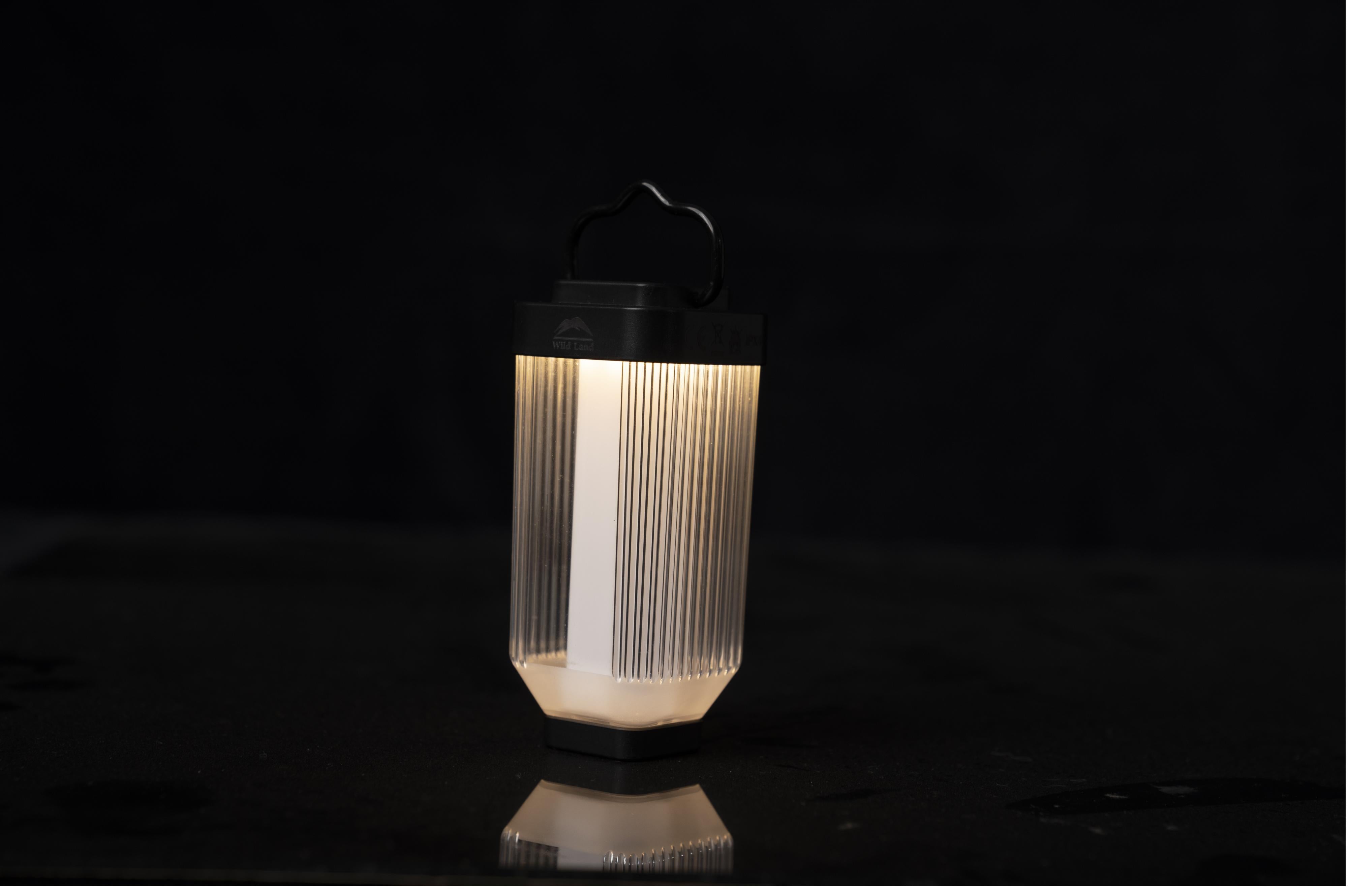 Mini light with Tripod