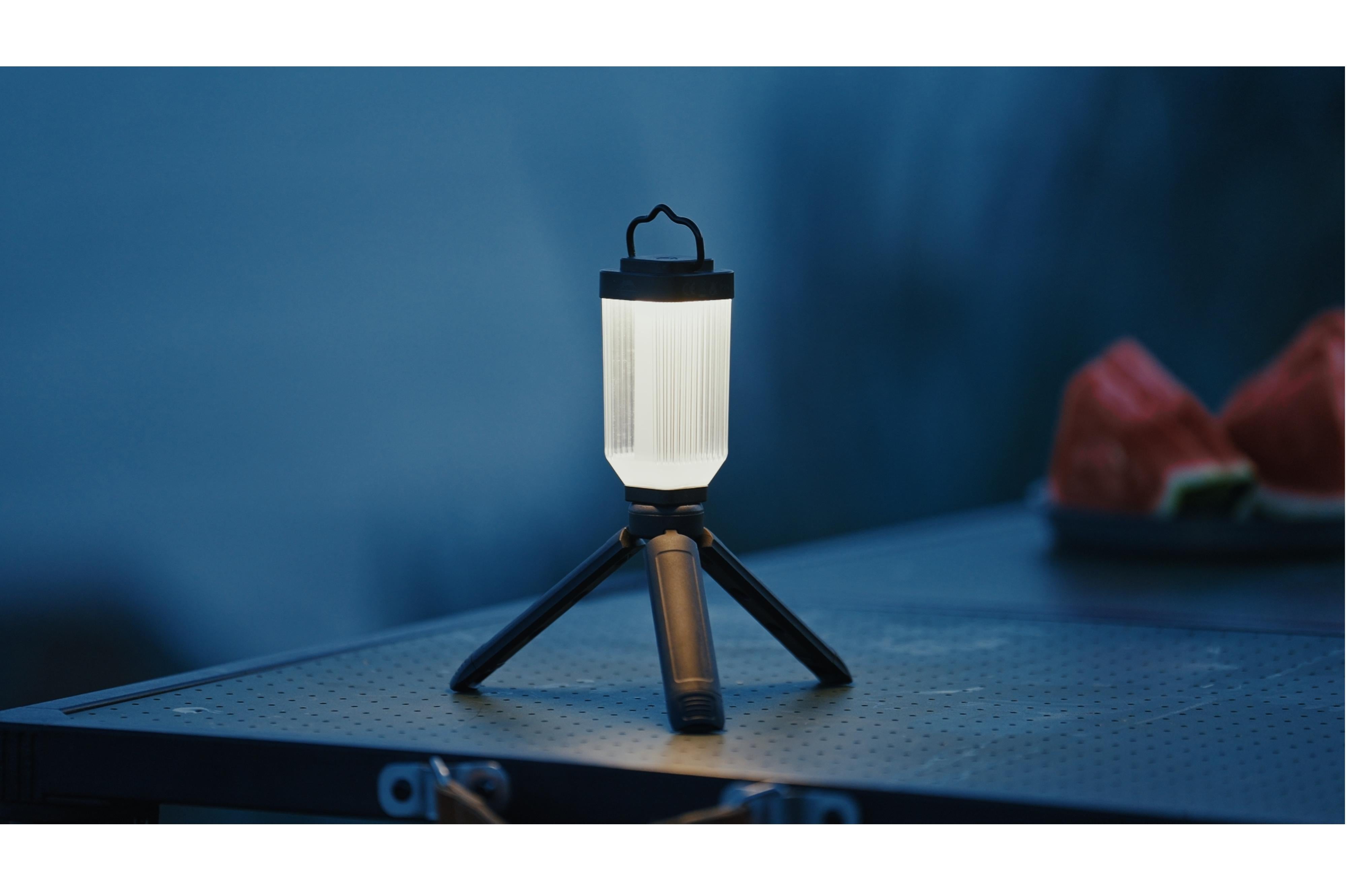 Mini light with Tripod