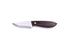 Brisa - Bobtail 80 - Bison Micarta- Scandi - Leather - 17 cm - Bushcraft knives