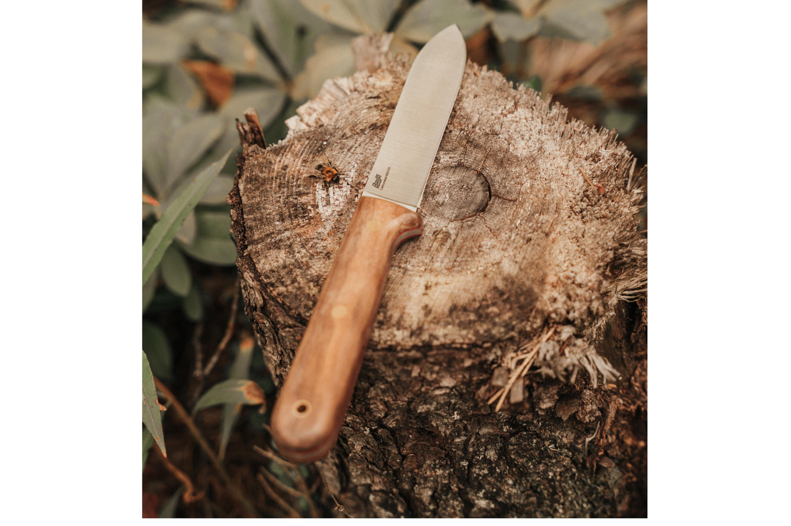 Brisa - Kephart 115 - StabilizedWalnut - Flat - Leather - 23 cm - Bushcraft knives