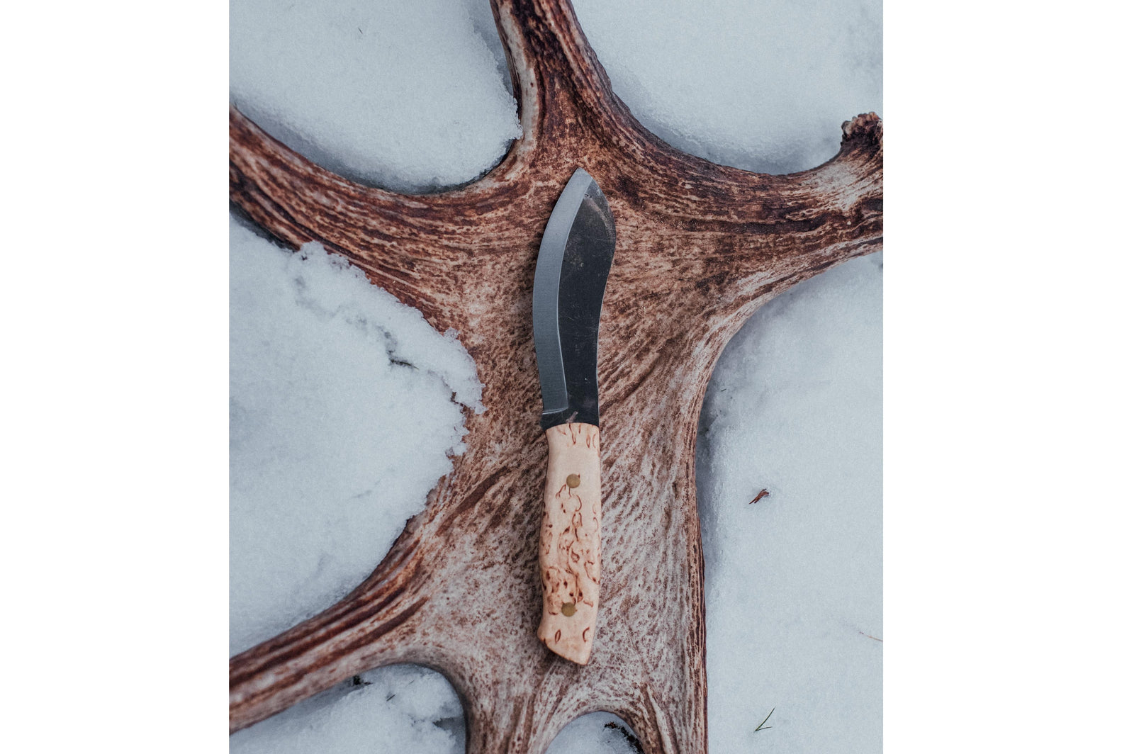Brisa - Nessmuk 125 - CurlyBirch - Scandi - Leather - 24 cm - Bushcraft knives