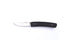Brisa - Piili 85 - CarbonFiber - Scandi - 21 cm - Pocket knives