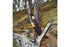Trapper 95 - Curly Birch - Flat - Firesteel - 21 cm - Bushcraft knives