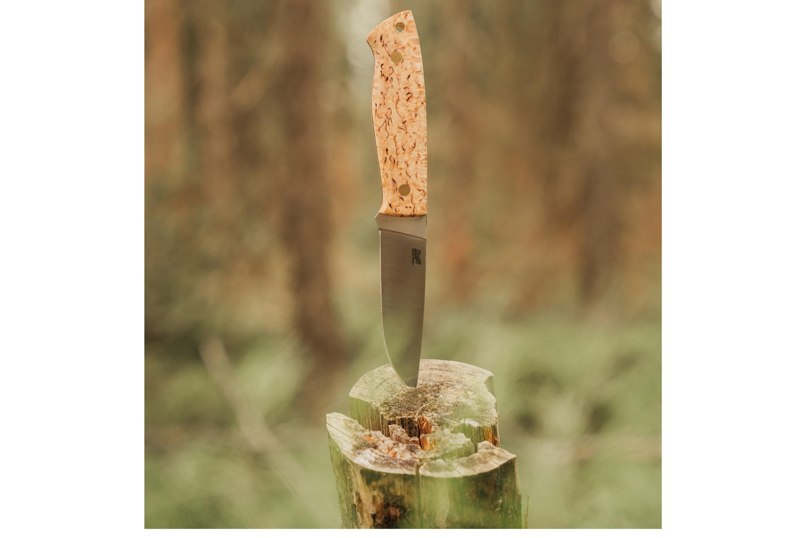 Brisa - Trapper 95 - CurlyBirch - Flat - Bushcraft - 21 cm - Bushcraft knives