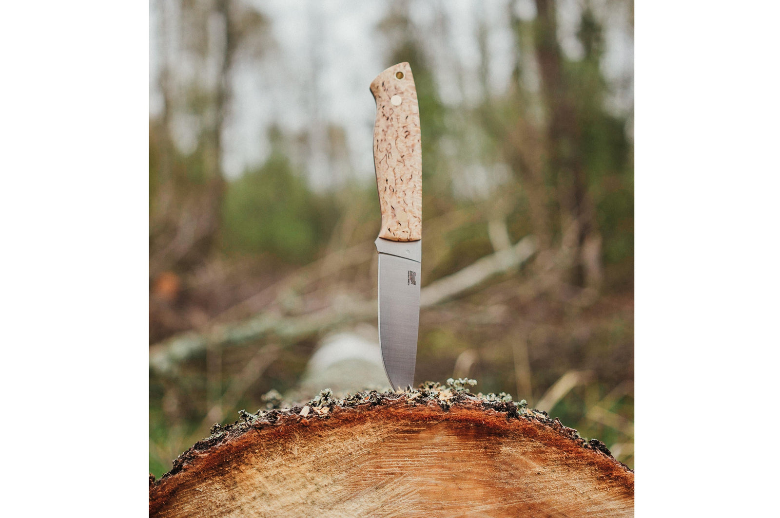 Brisa - Trapper 95 - CurlyBirch - Flat - Bushcraft - 21 cm - Bushcraft knives