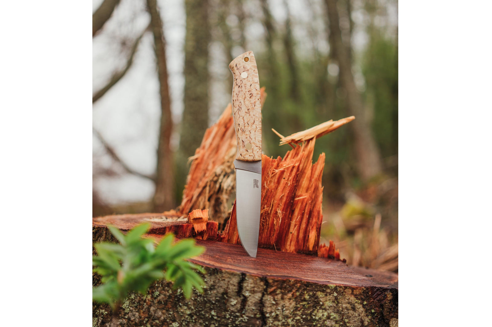 Brisa - Trapper 95 - CurlyBirch - Flat - Firesteel - 21 cm - Bushcraft knives