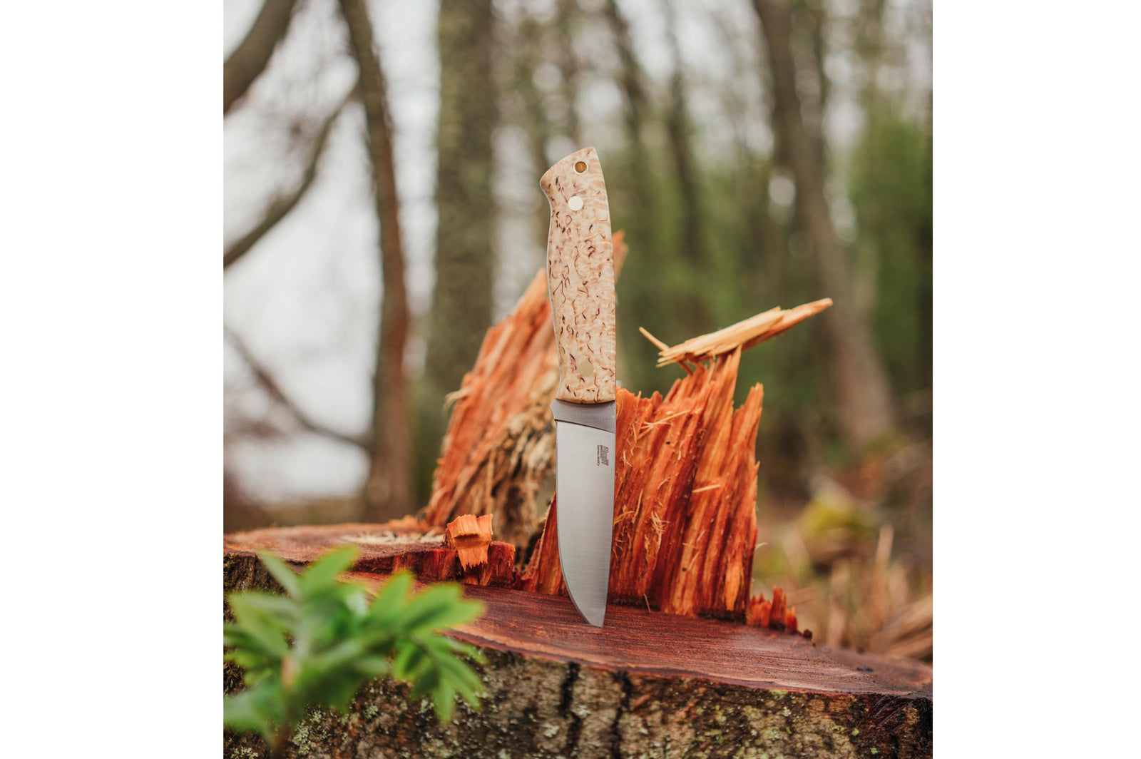 Brisa - Trapper 95 - CurlyBirch - Flat - Leather - 21 cm - Bushcraft knives