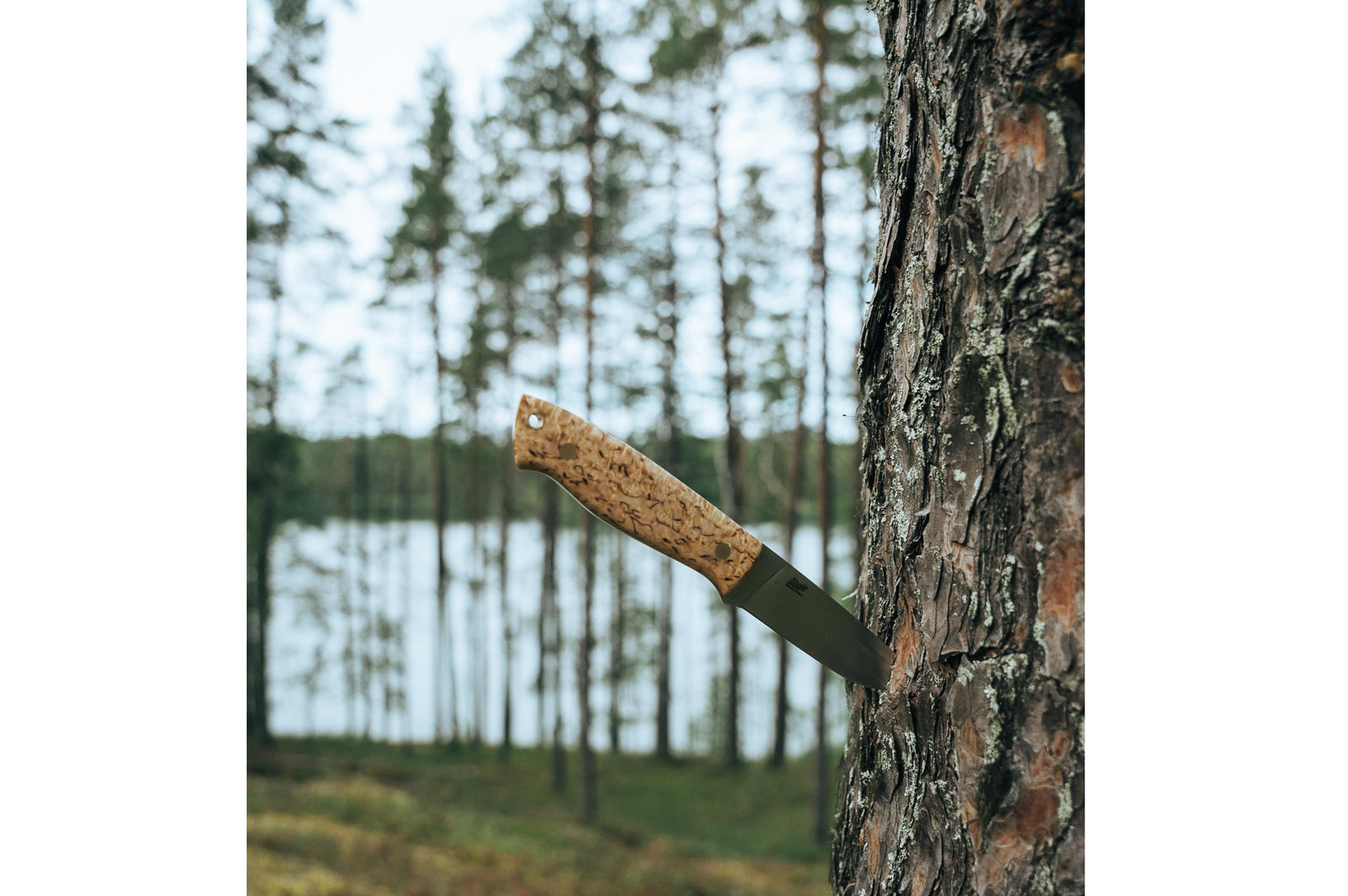 Brisa - Trapper 95 - CurlyBirch - Flat - Leather - 21 cm - Bushcraft knives