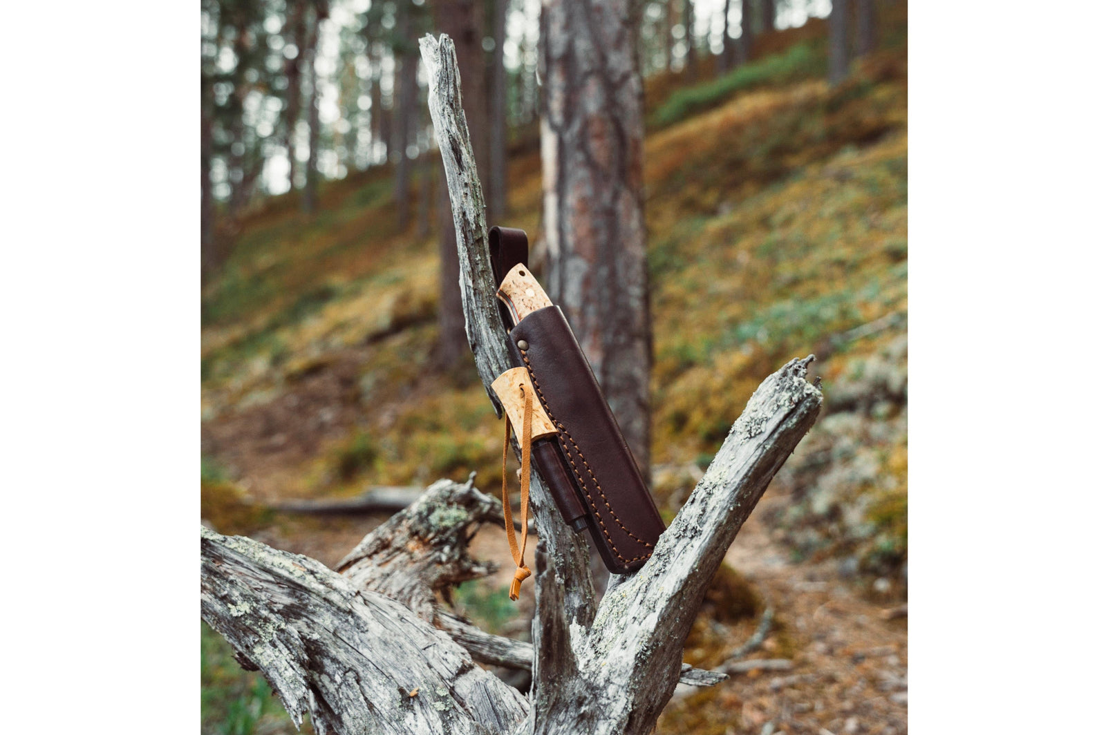 Brisa - Trapper 95 - CurlyBirch - Scandi - Firesteel - 21 cm - Bushcraft knives