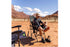 Road Trip Rocker Hunter Topo - 75 x 65.5 x 99 cm - Camping Stühle