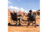 Road Trip Rocker Hunter Topo - 75 x 65.5 x 99 cm - Camping Stühle